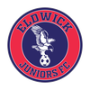 ELDWICK JUNIORS FOOTBALL CLUB